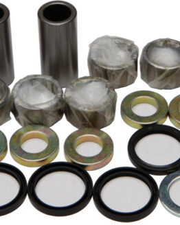 Swing Arm Linkage Bearing & Seal Kit