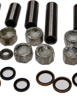 Swing Arm Linkage Bearing & Seal Kit