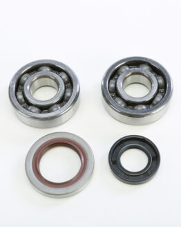 Crankshaft Bearing & Seal Kit