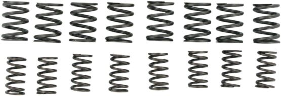 Kibblewhite Valve Spring Kit Standard 0.425in Lift For Kawasaki - Image 2