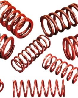 Andrews .550" Lift Valve Springs and Collars