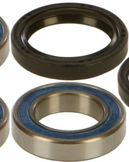 All Balls Rear Wheel Bearing & Seal Kit