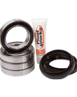 Rear Wheel Bearing Kit