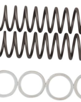 Race Tech Fork Springs .95kg (FRSP 414642)