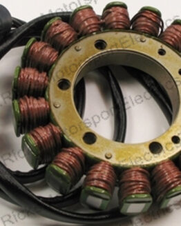 Rick's Stator Kit 21-058 Fits 04-06 Arctic Cat 650