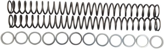 Fork Springs 0.48KG