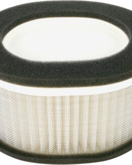 Air Filter Replaces Yamaha 5LV-14451-00-00