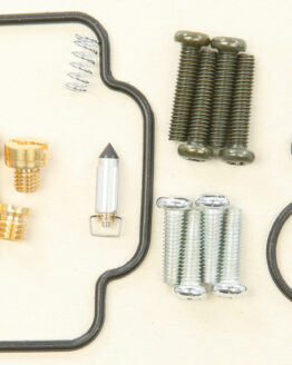 Carburetor Repair Kit
