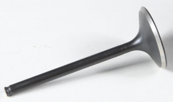 Black Diamond Intake Valve