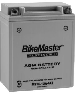AGM Platinum II Battery