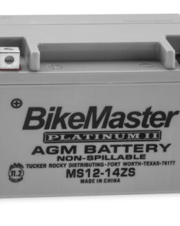 AGM Platinum II Battery