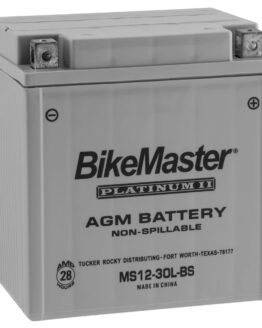 AGM Platinum II Battery