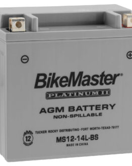 AGM Platinum II Battery