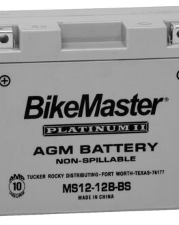 AGM Platinum II Battery