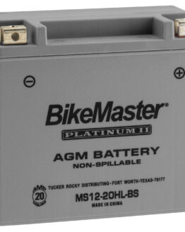 AGM Platinum II Battery