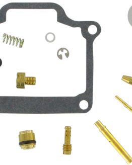 Carburetor Repair Kit