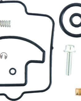 Carburetor Repair Kit