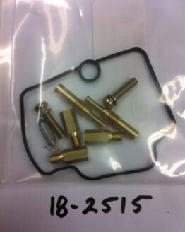 Carb Repair Kit