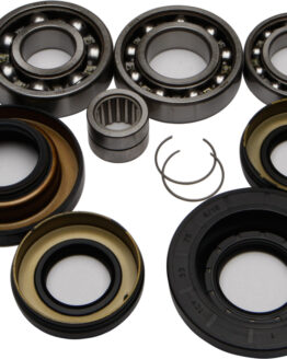 Rear Differential Bearing & Seal Kit