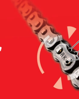 RK Chain 530-110 - Natural