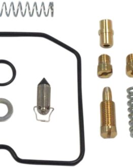 Carburetor Repair Kit