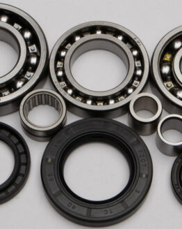Rear Differential Bearing & Seal Kit