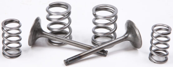 Steel Exhaust Valve/Spring Kit