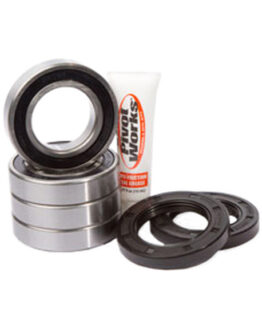 Pivot Works Rear Wheel Bearing Kit Fits 2000-2002 Arctic Cat