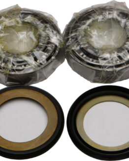 All Balls Steering Head Bearing & Seal Kit