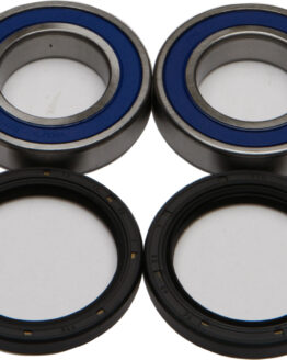 Wheel Bearing & Seal Kit