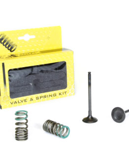 Steel Exhaust Valve/Spring Kit
