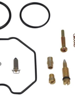 Carburetor Repair Kit