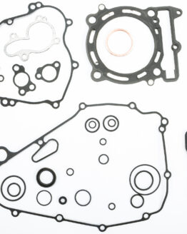 Complete Gasket Kit W/Oil Seals