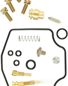 Carburetor Repair Kit