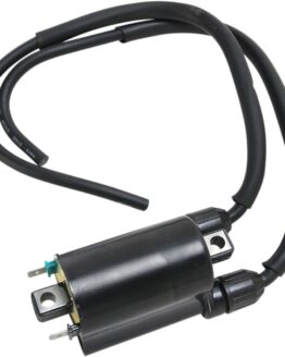 Replacement Ignition Coil, Dual Lead
