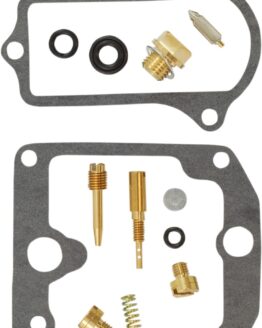 Carburetor Repair Kit