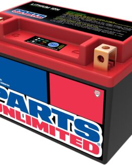 LiFePO4 Lithium-Ion Battery