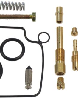 Carburetor Repair Kit
