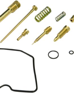 Carburetor Repair Kit