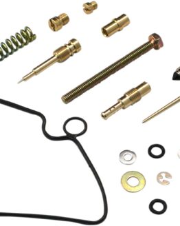Carburetor Repair Kit