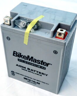 AGM Platinum II Battery