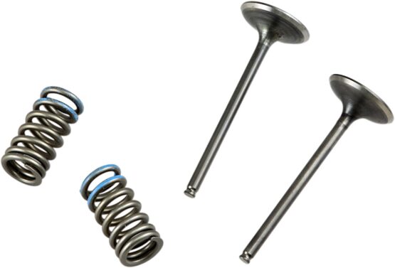 Steel Intake Valve/Spring Kit - Image 2
