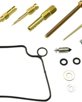 Carburetor Repair Kit