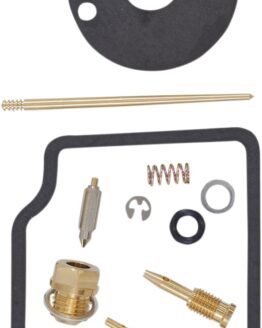 Carburetor Repair Kit