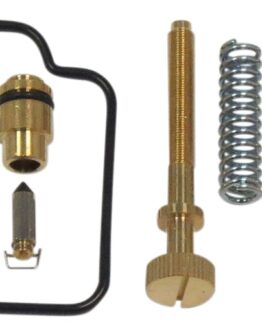 Carburetor Repair Kit