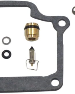 Carburetor Repair Kit