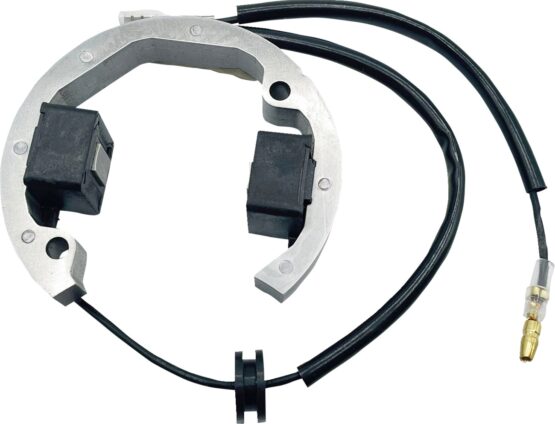 Rick's Motorsport Electrics Stator KTM 50 2001-2022