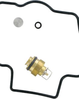 Carburetor Repair Kit