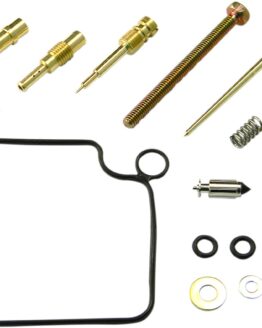 Carburetor Repair Kit