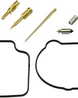 Carburetor Repair Kit